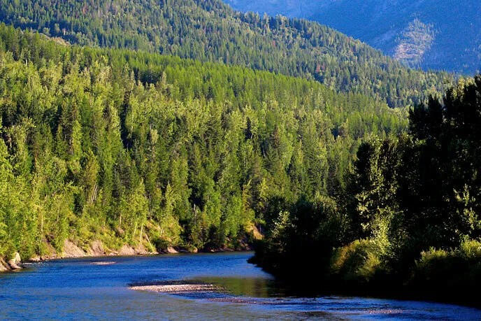 Elk River The Elk River gracefully curves through a lush forest with dense greenery. Sunlight illuminates the tops of trees, while rolling hills and mountains stand prominent in the background under a clear blue sky.
